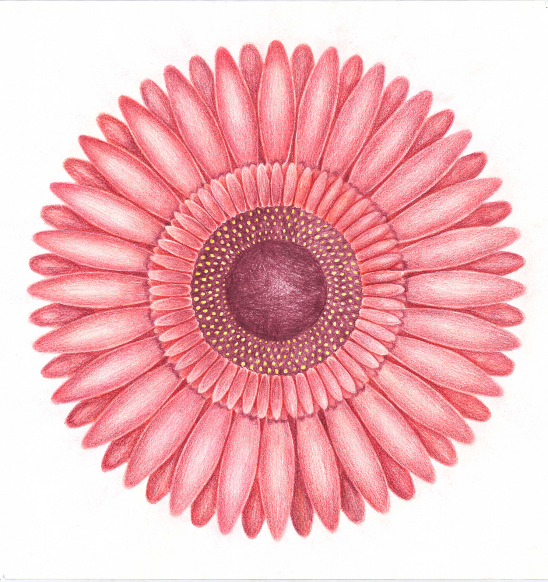 Image 1s