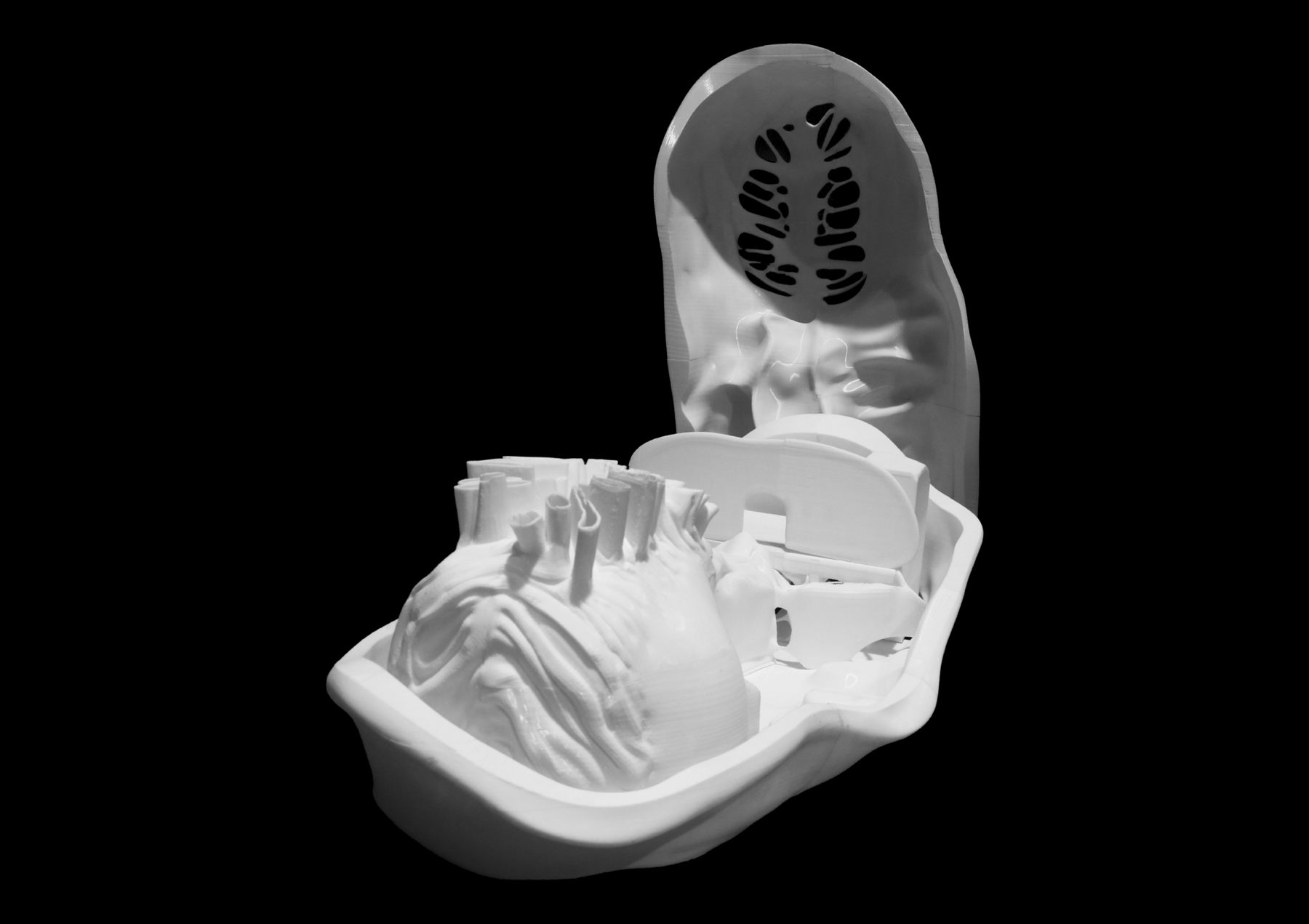 05 3d Printed Overall Model