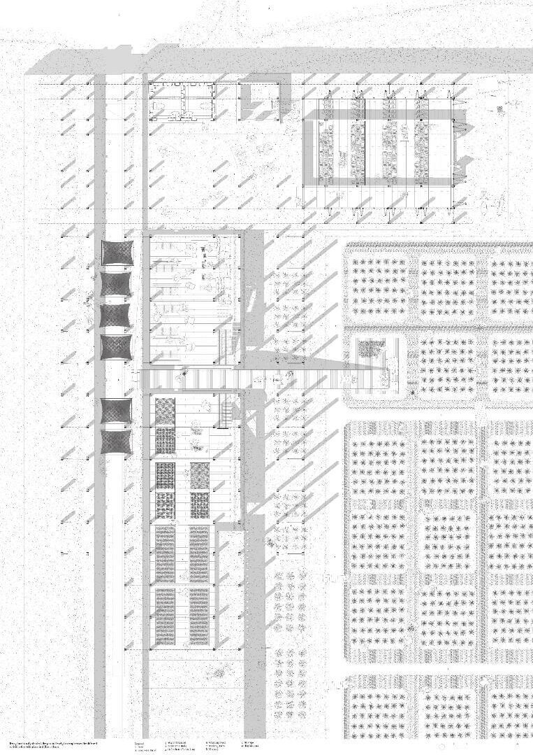 Compressed 241119 Ground Level Plan With Shadow
