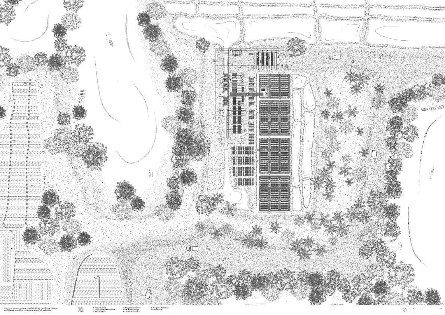 Compressed 241124 Intervention Context Plan 1