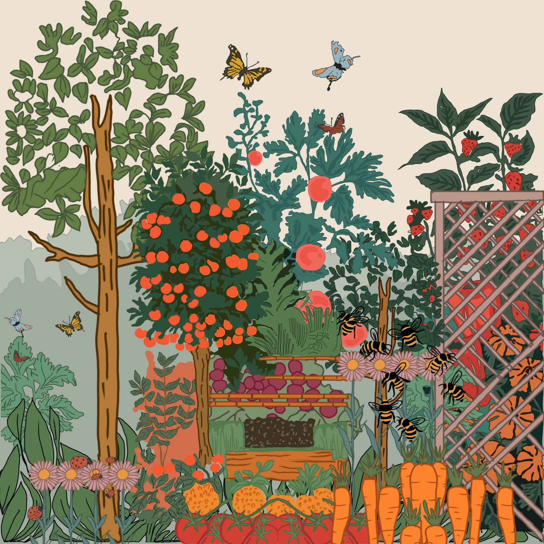 Monograpgh graphic