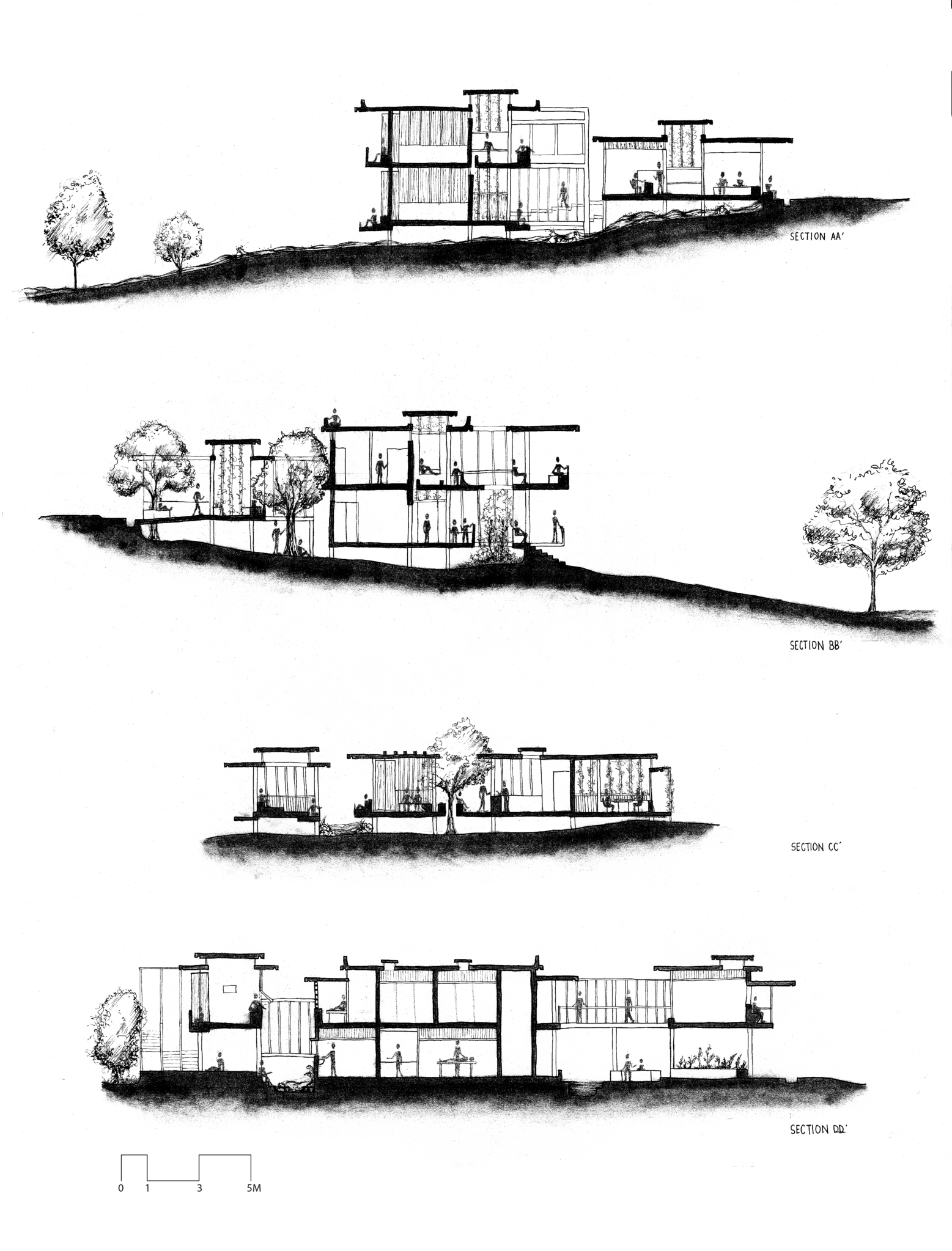 IMAGE5 SECTIONS