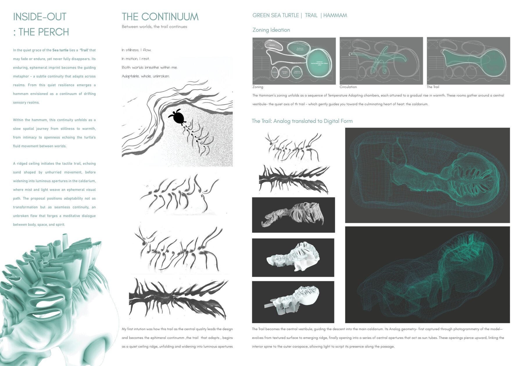 01 The Continuum